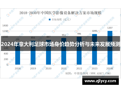 2024年意大利足球市场身价趋势分析与未来发展预测