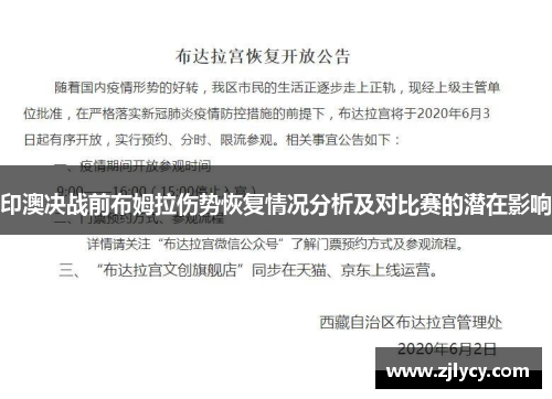 印澳决战前布姆拉伤势恢复情况分析及对比赛的潜在影响