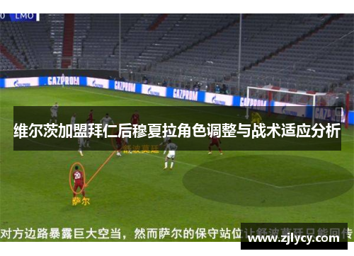 维尔茨加盟拜仁后穆夏拉角色调整与战术适应分析